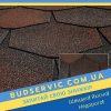 ціна на Катепал FORTE ГАВАНА - гнучка бітумна черепиця
