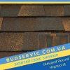 ціна на Катепал Mansion Ейлін - бітумна гнучка черепиця
